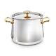 ONDINE Cookware -Luxury, 316ti Titanium S Steel, NON Toxic, Platine Stock Pot