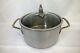 Ruffoni Omegna Hammered Stainless Steel StockPot Covered Lid Pineapple 6 qt